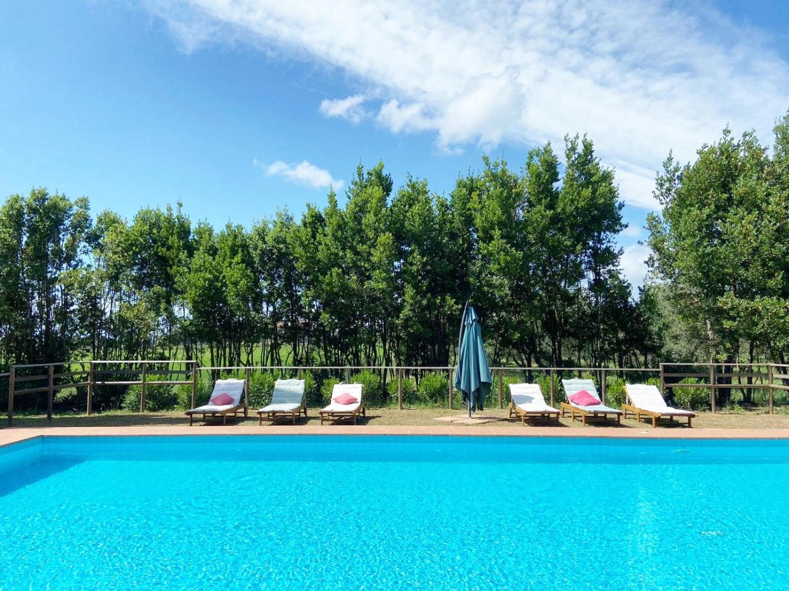 チェチナRelais Casale Il Poggetto - Olivo 1 By Zoom In Earthアパートメント エクステリア 写真